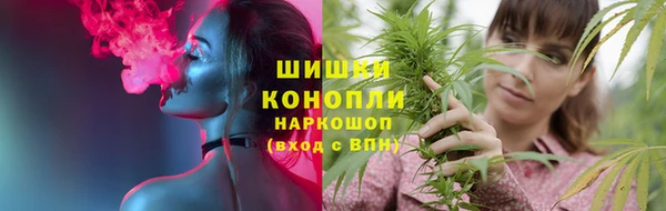 молекула духа Алзамай