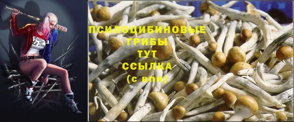 мефедрон Алексеевка