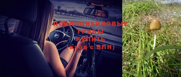 молекула духа Алзамай