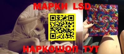 гидропоника Бийск